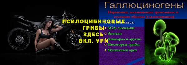 a pvp Абаза