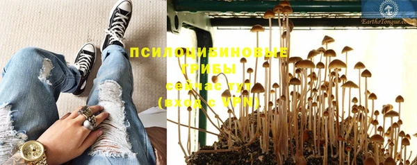гидра Абинск